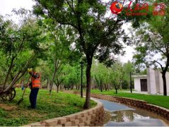 <b>【建筑垃圾】建筑垃圾變身再生骨料，只差一臺移動破碎機！</b>